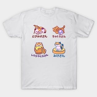 my kitty collector catbook 005-008 cats assorted pack / sunny, fred, pumpkin, callie Sticker T-Shirt